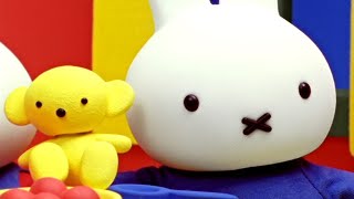 Miffy Has A Sleepover! | Miffy | Shows For Kids