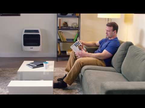 Dyna-Glo Signature Series 20,000 BTU Blue Flame Wall Heater