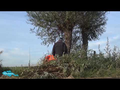 Vele handen helpen op de nationale natuurwerkdag in Yerseke
