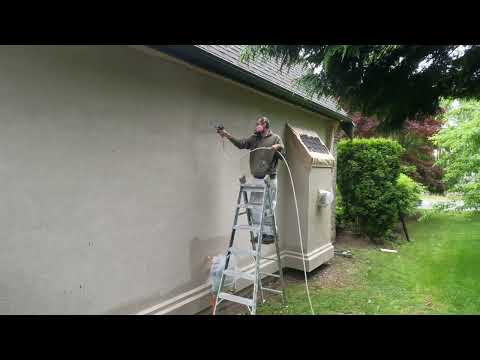 Frog clan painting group video.