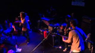 The Round, Pickwick, Crocodile, 2011