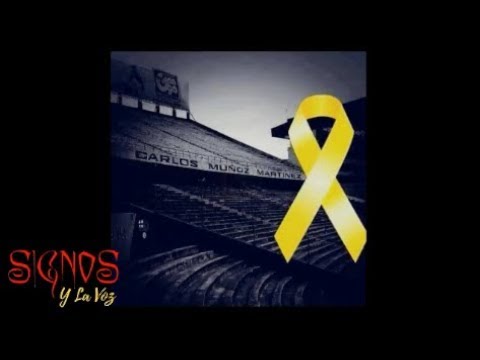 Signos y La Voz - FILIAL DEL CIELO