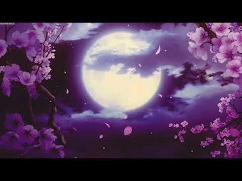 ✞ ｐｓｉｃｏｌｏｇｉ　－　ｖｅｓｔｉｔｉ　ｄ＇ｏｄｉｏ（ｓｌｏｗｅｄ　＋　ｒｅｖｅｒｂ）✞