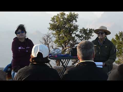 3   Noreen Simplicio Interview Meanings