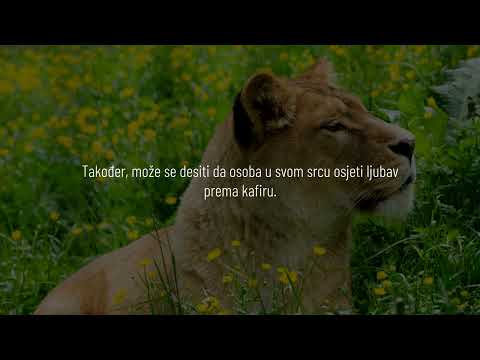 Muslimani i fudbal | Šejh El-Usejmin