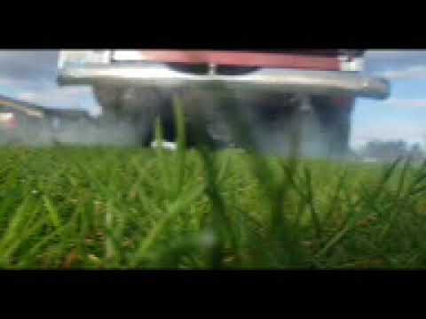 1951 Chevrolet 3100 (CC-1961513) for sale in Hingham, Massachusetts