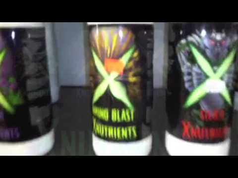 download lagu mp3 mp4 X Blast Bio Green, download lagu X Blast Bio Green gratis, unduh video klip X Blast Bio Green