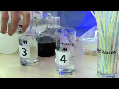 Wissen für alle: die 16. Wissenschaftstage