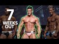 Road To WBFF Worlds | 7 Weeks Out | Weekly Update