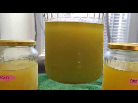 VERVA x EFECTA x ONO x VIF x MOL x SHELL - test nafty 2019