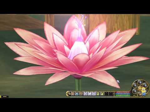 Insanity Flyff E400 - Do not get an Element upgrade for Arcanist or Mentalist!