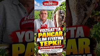 🌱 Yozgat’ta pancar üreticisi ek destek istiyor!