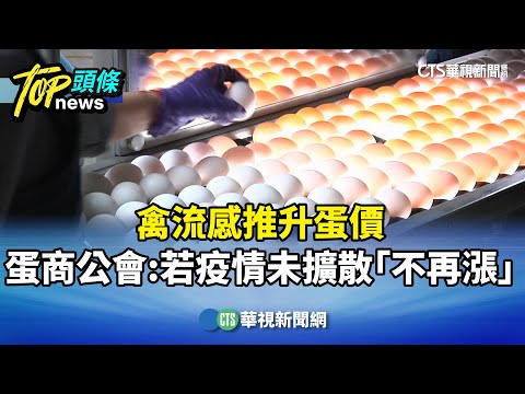 禽流感推升蛋價　蛋商公會：若疫情未擴散「不再漲」
