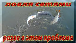 Как ловить сома в нерест