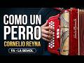 Como Un Perro-Cornelio Reyna-Acordeon FA-La Bemol
