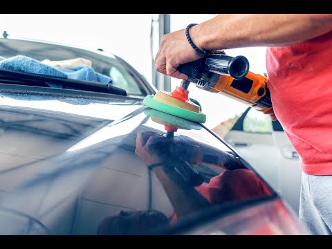 Zobacz filmy, Auto-Pol Michał Polakowski, Rokitki