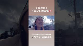 #ワーホリ #カナダ #カナダワーホリ #トロント #トロントワーホリ #canadavlog
