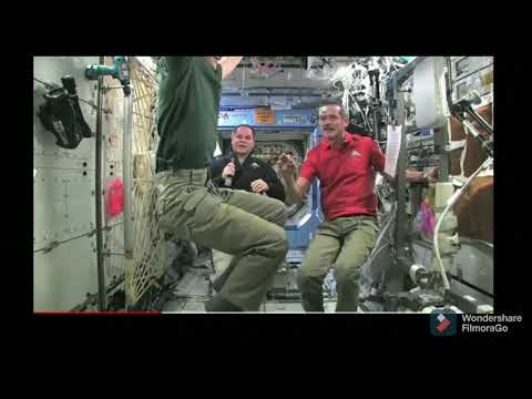 Lord Zhyrille T. Francisco, Cats Defying Gravity: Cats Interaction to MICROGRAVITY