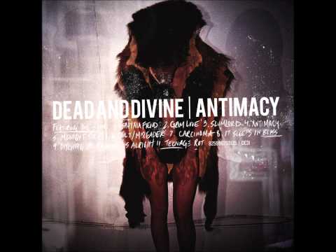Dead and Divine- Midnight Society (Lyrics)