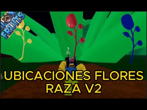 FLOWER LOCATIONS, RED, YELLOW AND BLUE FOR RAZA V2 BLOX FRUITS [ROBLOX]