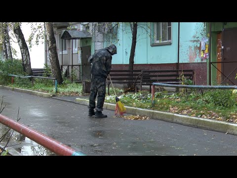 Двое бийчан осуждены по статьям экстремисткой направленности за действия в сети