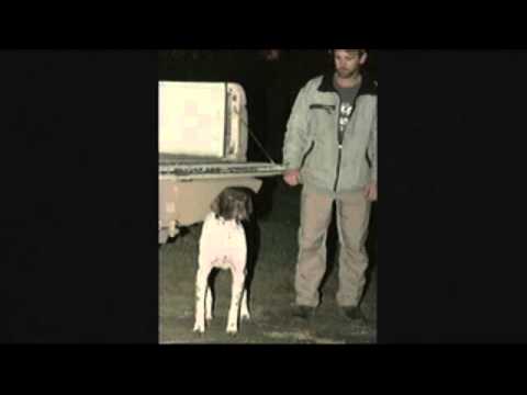 Violent Pet Death Shakes Burbank Family