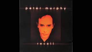 Peter Murphy - Rollcall-Recall