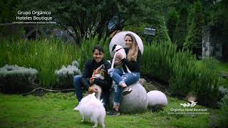 Orgánico Hotel Boutique Ajusco - Grupo Orgánico Hoteles Boutique