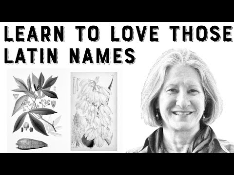 Learn to Love Those Latin Names with Ann Willyard