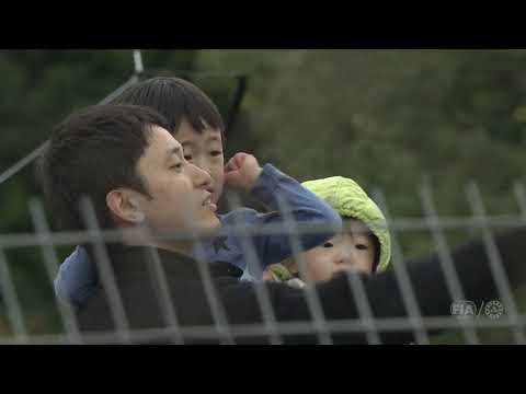 2018 6 Hours of Fuji - WEC Safari