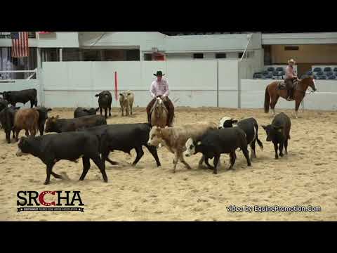 SJR Diamond Suzanne shown by Clay Volmer - 2019 SRCHA Pre-Futurity (Herd - Open Futurity)