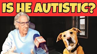 Can Dogs Be Autistic Top Pet Expert Explains the Signs