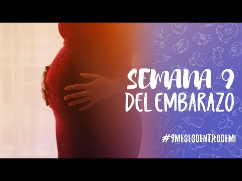 Semana 9 de embarazo / 9 meses dentro de mí