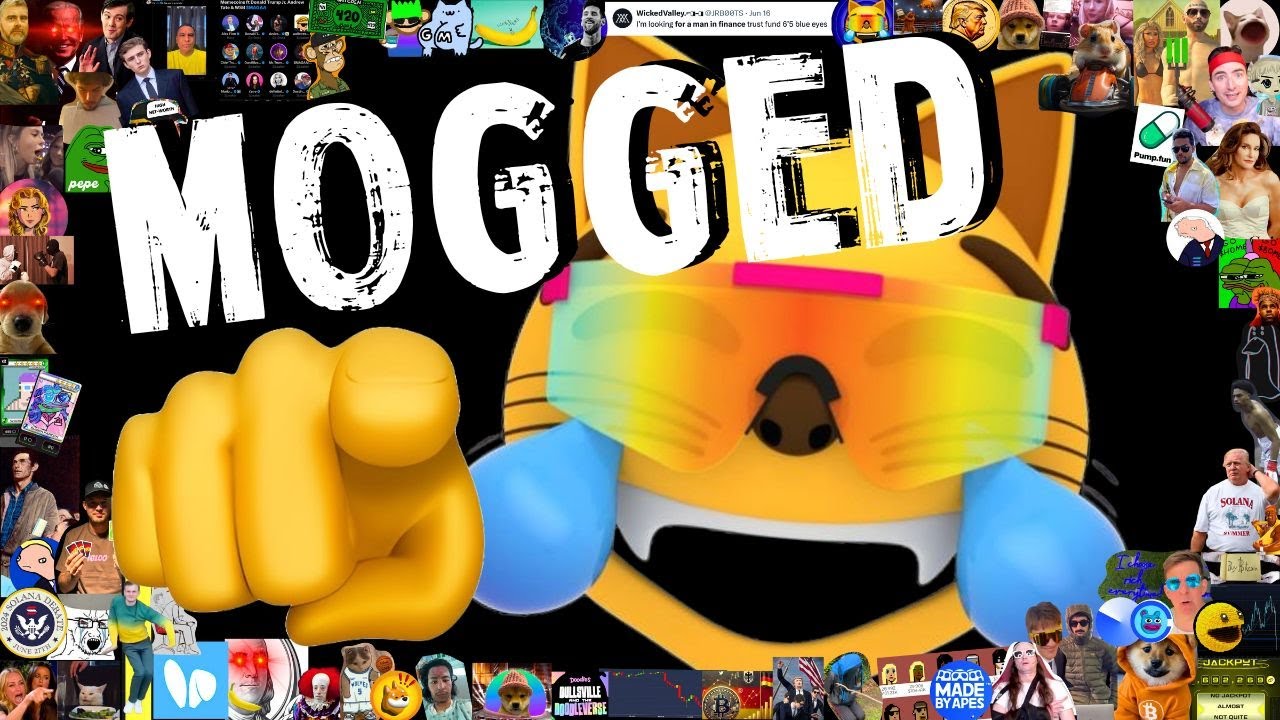 MOG: THE 4CHAN MEME AN $800 MILLION MEME COIN