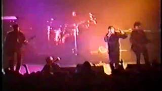 The Charlatans UK - Just Lookin' - Live At Southampton Guildhall 21.11.1995