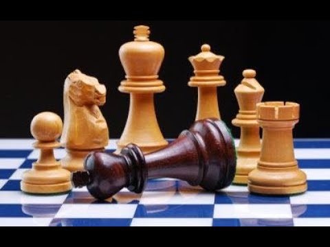 Povlačenje kralja u matnu mrežu ~ SPRAGGETT vs VEGA ~ Kraljev Indijski napad # 1283