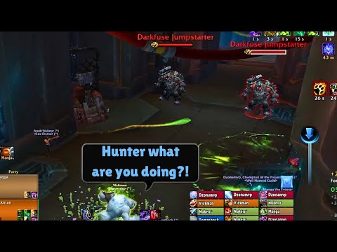 World of Warcraft The War Within Moments #134 #worldofwarcraft    #wowretail