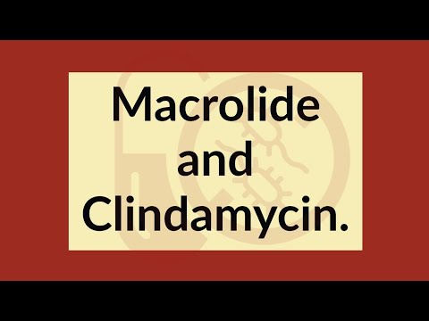 Macrolides and Clindamycin | Pharmacology Review - 200 MCQ, 2016