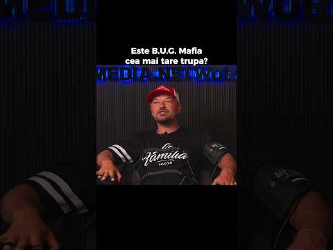Ce parere are Puya despre B.U.G. Mafia?