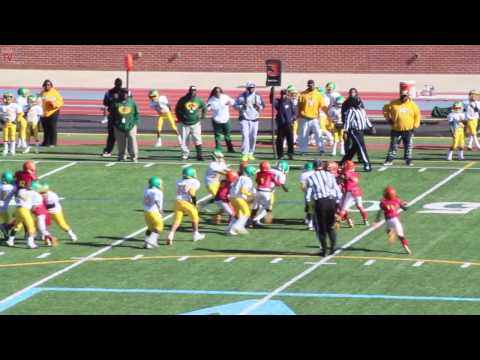 TwinSportsTV: Decatur Army Camo vs. Gresham Park Rattler (8U GXYFL Championship Game)