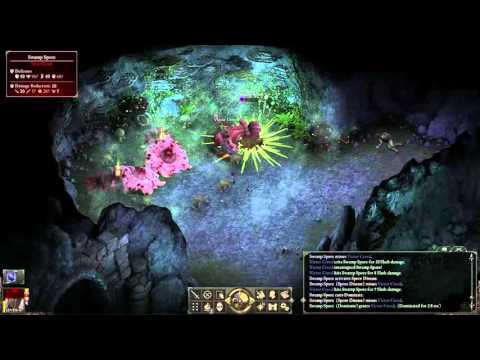 Pillars Of Eternity Solo Potd Playthrough part 118 - About Vithracks and Animats