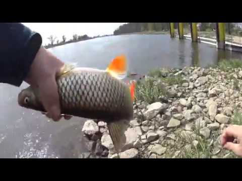 Spinningowanie Odra Gostchorze - Krosno Odrzańskie odc. 73