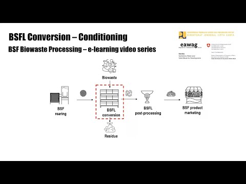 BSFL Conversion - Conditioning - BSF Biowaste Processing e-learning video series
