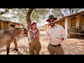 Horse Riding Training Tips By Rajkumari Mallyka Dundlod Shekhawati Rajasthan