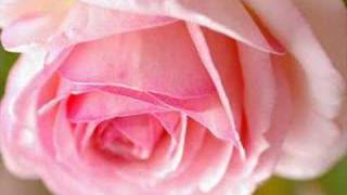 Claude François -  douce Candy