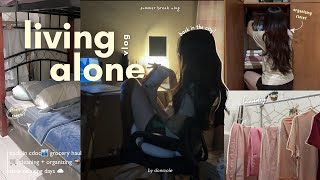 living alone vlog🌿| back in cdoc🏙️ grocery haul🛒, cleaning + organizing🧺relaxing days☁️| philippines