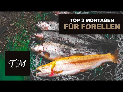 Mit Pose und Sbirolino auf Forelle - 3 Montagen zum Angeln am Forellenteich