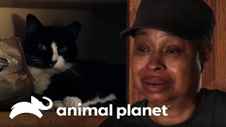 Thumbnail del capítulo