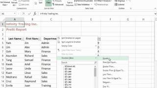 Creating a Custom AutoFilter in Excel 2013