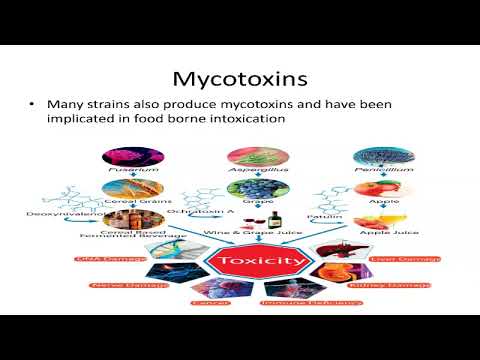Video presentation: Unit 3 Module 1 Basics concepts of Microbiology and Biotechnology in food safety